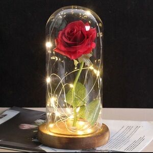 Enchanted LED Light Artificial Eternal Rose In Glass Dome With Wooden Base Decor